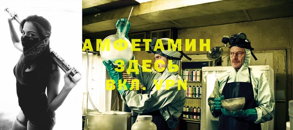 прущие грибы Баксан