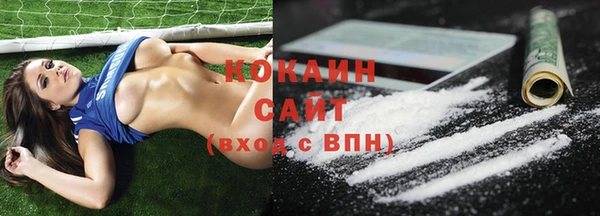 прущие грибы Баксан