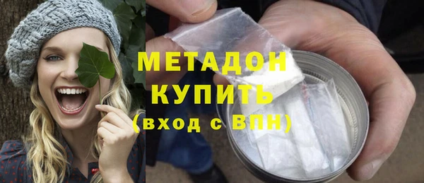 индика Нея